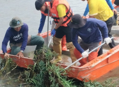 โครงการบำเพ็ญประโยชน์ขุดลอกผักตบชวาในเขตพื้นที่เทศบาลเมืองอำนาจเจริญ ... พารามิเตอร์รูปภาพ 7