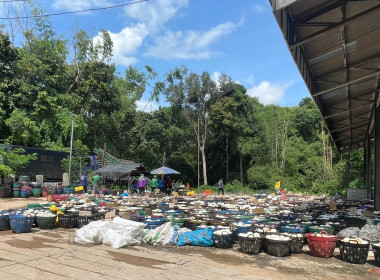 ธุรกิจรวบรวมยางพารา กลุ่มเกษตรกรชาวสวนยางอำเภอหัวตะพาน พารามิเตอร์รูปภาพ 5