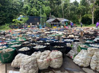 ธุรกิจรวบรวมยางพารา กลุ่มเกษตรกรชาวสวนยางอำเภอหัวตะพาน พารามิเตอร์รูปภาพ 6