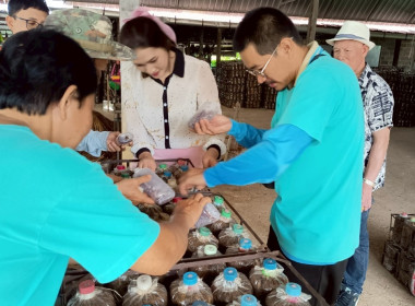 โครงการส่งเสริมอาชีพในชุมชน กลุ่มเกษตรกรทำนาหนองมะแซว พารามิเตอร์รูปภาพ 5