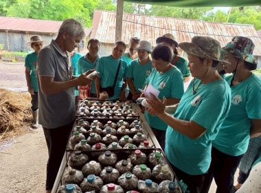 โครงการส่งเสริมอาชีพในชุมชน กลุ่มเกษตรกรทำนาหนองมะแซว พารามิเตอร์รูปภาพ 7