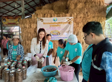 โครงการส่งเสริมอาชีพในชุมชน กลุ่มเกษตรกรทำนาหนองมะแซว พารามิเตอร์รูปภาพ 8