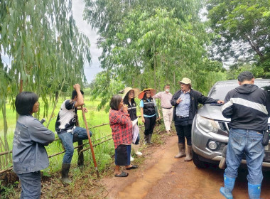 ออกสำรวจวงรอบ - รายแปลง ในพื้นที่นิคมสหกรณ์ พารามิเตอร์รูปภาพ 4