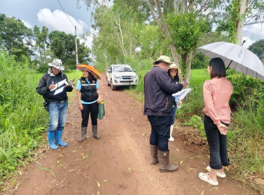 ออกสำรวจวงรอบ - รายแปลง ในพื้นที่นิคมสหกรณ์ พารามิเตอร์รูปภาพ 5