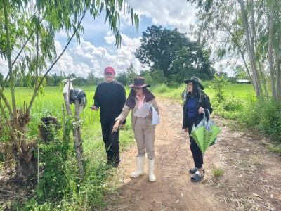 ออกสำรวจวงรอบ - รายแปลง ในพื้นที่นิคมสหกรณ์พนา พารามิเตอร์รูปภาพ 1
