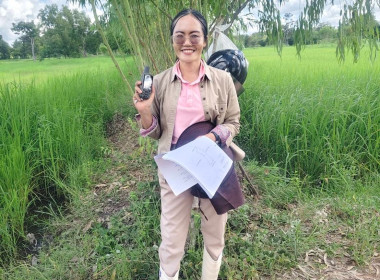 ออกสำรวจวงรอบ - รายแปลง ในพื้นที่นิคมสหกรณ์พนา พารามิเตอร์รูปภาพ 5