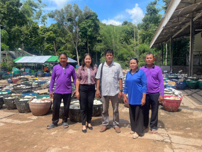 แนะนำส่งเสริมธุรกิจการรวบรวมยางพารา ... พารามิเตอร์รูปภาพ 1