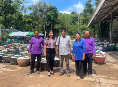 แนะนำส่งเสริมธุรกิจการรวบรวมยางพารา ... พารามิเตอร์รูปภาพ 2