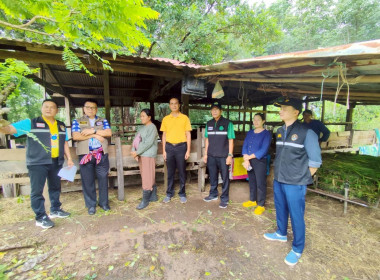 ร่วมตรวจเกษตรกรที่ได้รับกระบือพระราชทาน ... พารามิเตอร์รูปภาพ 3