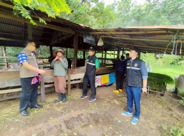 ร่วมตรวจเกษตรกรที่ได้รับกระบือพระราชทาน ... พารามิเตอร์รูปภาพ 4