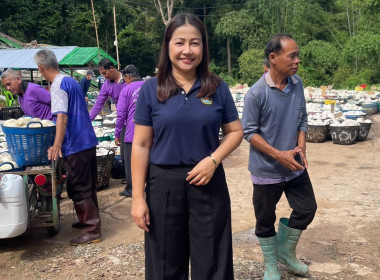 ธุรกิจการรวบรวมยางพารา“ก้อนถ้วย”กลุ่มเกษตรกรชาวสวนยางอำเภอหัวตะพาน ... พารามิเตอร์รูปภาพ 3
