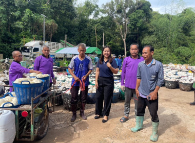 ธุรกิจการรวบรวมยางพารา“ก้อนถ้วย”กลุ่มเกษตรกรชาวสวนยางอำเภอหัวตะพาน ... พารามิเตอร์รูปภาพ 2