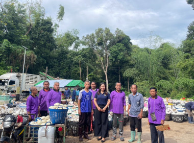 ธุรกิจการรวบรวมยางพารา“ก้อนถ้วย”กลุ่มเกษตรกรชาวสวนยางอำเภอหัวตะพาน ... พารามิเตอร์รูปภาพ 1