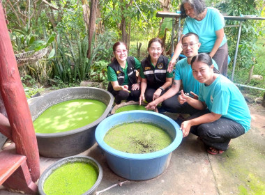 ติดตามการเข้าร่วมโครงการประจำปีงบประมาณ พ.ศ. ๒๕๖๙ ... พารามิเตอร์รูปภาพ 4