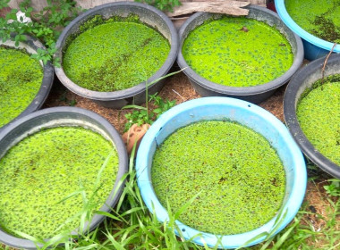 ติดตามการเข้าร่วมโครงการประจำปีงบประมาณ พ.ศ. ๒๕๖๙ ... พารามิเตอร์รูปภาพ 8