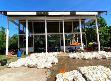 ลงพื้นที่ตรวจสอบพัสดุประจำปีงบประมาณ พ.ศ. ๒๕๖๘ ... พารามิเตอร์รูปภาพ 3