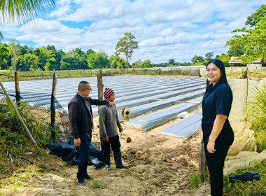ติดตามการดำเนินงานธุรกิจสหกรณ์และติดตามการแก้ไขข้อบกพร่อง พารามิเตอร์รูปภาพ 3