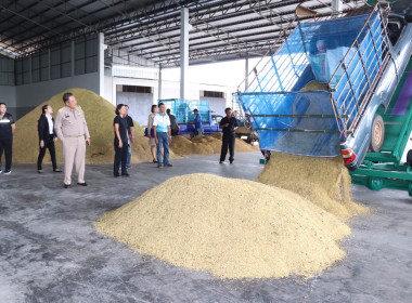ตรวจเยี่ยมการรวบรวมข้าวเปลือกของสหกรณ์การเกษตรหัวตะพาน จำกัด พารามิเตอร์รูปภาพ 6