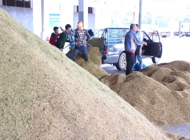 ตรวจเยี่ยมการรวบรวมข้าวเปลือกของสหกรณ์การเกษตรหัวตะพาน จำกัด พารามิเตอร์รูปภาพ 7