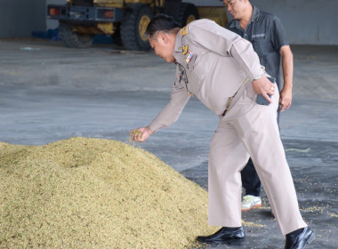 ตรวจเยี่ยมการรวบรวมข้าวเปลือกของสหกรณ์การเกษตรหัวตะพาน จำกัด พารามิเตอร์รูปภาพ 2