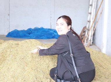 ตรวจเยี่ยมการรวบรวมข้าวเปลือกของสหกรณ์เครดิตยูเนี่ยนนาดูนสามัคคี จำกัด ... พารามิเตอร์รูปภาพ 3