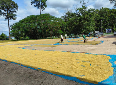 ร่วมประชุมคณะกรรมการดำเนินการและติดตามการดำเนินงานธุรกิจสหกรณ์ ... พารามิเตอร์รูปภาพ 5
