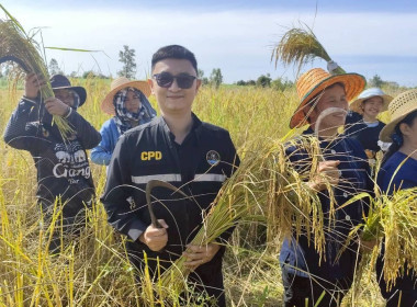 ร่วมประชุมเชิงปฏิบัติการหลักสูตร “Rice synergy ... พารามิเตอร์รูปภาพ 1