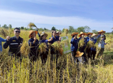 ร่วมประชุมเชิงปฏิบัติการหลักสูตร “Rice synergy ... พารามิเตอร์รูปภาพ 2