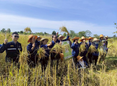 ร่วมประชุมเชิงปฏิบัติการหลักสูตร “Rice synergy ... พารามิเตอร์รูปภาพ 3