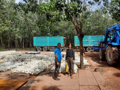 ติดตามการดำเนินธุรกิจรวบรวมผลผลิต (ยางพาราก้อนถ้วย) ... พารามิเตอร์รูปภาพ 1