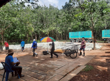 ติดตามการดำเนินธุรกิจรวบรวมผลผลิต (ยางพาราก้อนถ้วย) ... พารามิเตอร์รูปภาพ 6