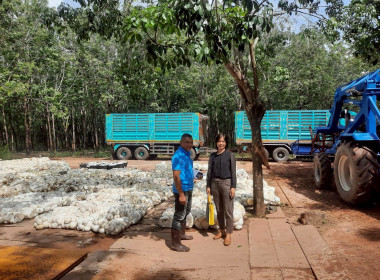 ติดตามการดำเนินธุรกิจรวบรวมผลผลิต (ยางพาราก้อนถ้วย) ... พารามิเตอร์รูปภาพ 2