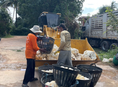 ธุรกิจรวบรวมยางพารา กลุ่มเกษตรกรชาวสวนยางอำเภอหัวตะพาน พารามิเตอร์รูปภาพ 3