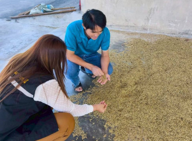 ติดตามโครงการรวบรวมข้าวเปลือก กลุ่มเกษตรกรทำนาเสนางคนิคม พารามิเตอร์รูปภาพ 3