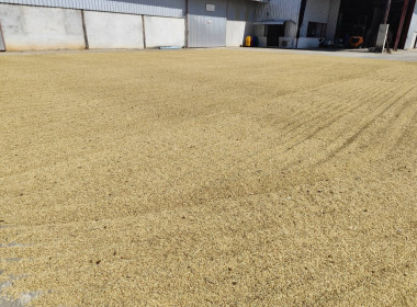 ติดตามโครงการรวบรวมข้าวเปลือก กลุ่มเกษตรกรทำนาเสนางคนิคม พารามิเตอร์รูปภาพ 5