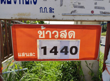 ติดตามโครงการรวบรวมข้าวเปลือก กลุ่มเกษตรกรทำนาเสนางคนิคม พารามิเตอร์รูปภาพ 6