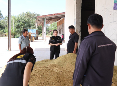 ตรวจเยี่ยมการรวบรวมข้าวเปลือกของสหกรณ์นิคมนาหว้าใหญ่ จำกัด พารามิเตอร์รูปภาพ 3