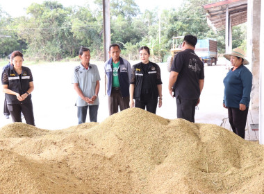 ตรวจเยี่ยมการรวบรวมข้าวเปลือกของสหกรณ์นิคมนาหว้าใหญ่ จำกัด พารามิเตอร์รูปภาพ 2
