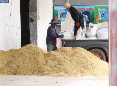 ตรวจเยี่ยมการรวบรวมข้าวเปลือกของสหกรณ์นิคมนาหว้าใหญ่ จำกัด พารามิเตอร์รูปภาพ 8