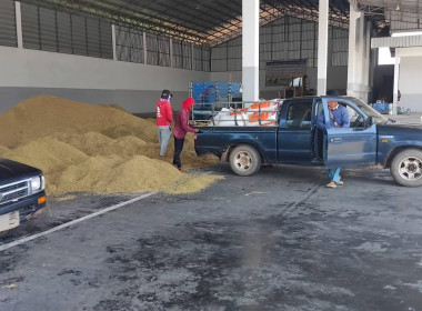 ติดตามการรวบรวมข้าวเปลือก สหกรณ์การเกษตรหัวตะพาน จำกัด พารามิเตอร์รูปภาพ 4