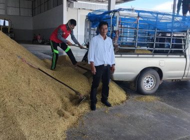 ติดตามการรวบรวมข้าวเปลือก สหกรณ์การเกษตรหัวตะพาน จำกัด พารามิเตอร์รูปภาพ 3
