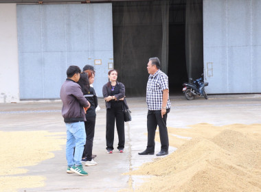 ตรวจเยี่ยมการรวบรวมข้าวเปลือก สหกรณ์การเกษตรนาดีอำนาจเจริญ ... พารามิเตอร์รูปภาพ 7