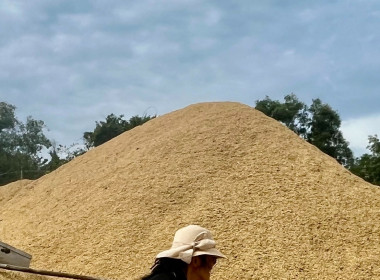 ตรวจเยี่ยมการรวบรวมข้าวเปลือก สหกรณ์นิคมนาหว้าใหญ่ จำกัด พารามิเตอร์รูปภาพ 4