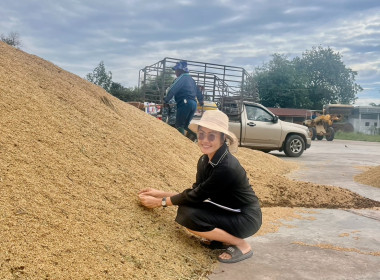 ตรวจเยี่ยมการรวบรวมข้าวเปลือก สหกรณ์นิคมนาหว้าใหญ่ จำกัด พารามิเตอร์รูปภาพ 5