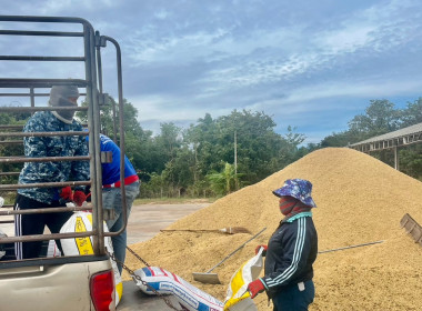 ตรวจเยี่ยมการรวบรวมข้าวเปลือก สหกรณ์นิคมนาหว้าใหญ่ จำกัด พารามิเตอร์รูปภาพ 6