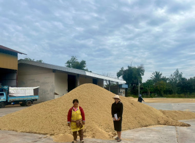 ตรวจเยี่ยมการรวบรวมข้าวเปลือก สหกรณ์นิคมนาหว้าใหญ่ จำกัด พารามิเตอร์รูปภาพ 2