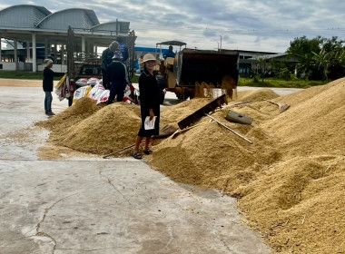 ตรวจเยี่ยมการรวบรวมข้าวเปลือก สหกรณ์นิคมนาหว้าใหญ่ จำกัด พารามิเตอร์รูปภาพ 7