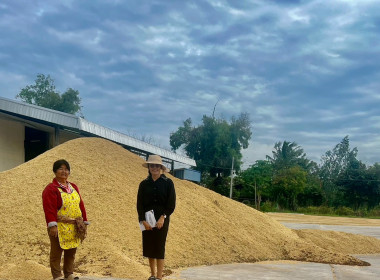 ตรวจเยี่ยมการรวบรวมข้าวเปลือก สหกรณ์นิคมนาหว้าใหญ่ จำกัด พารามิเตอร์รูปภาพ 8