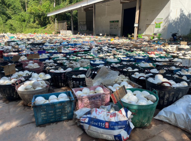 ธุรกิจรวบรวมยางพารา กลุ่มเกษตรกรชาวสวนยางอำเภอหัวตะพาน พารามิเตอร์รูปภาพ 4