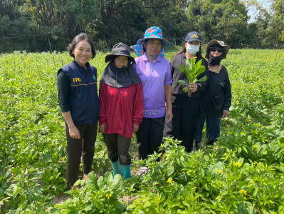 โครงการส่งเสริมอาชีพสมาชิกสหกรณ์ สหกรณ์การเกษตรบ้านนาคู ... พารามิเตอร์รูปภาพ 1